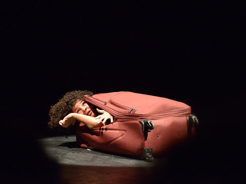 The Palestinian Circus